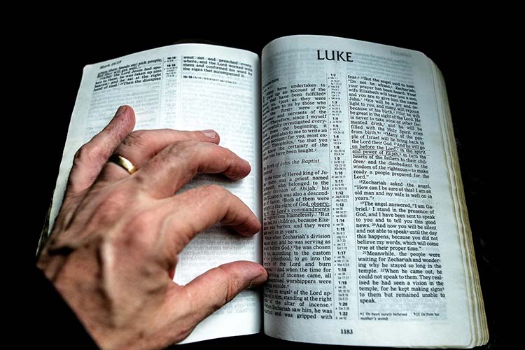 Luke+bible